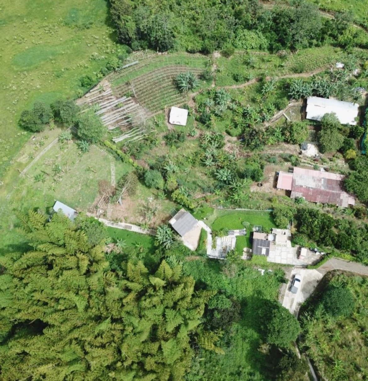  en venta en Cuba, Pereira, ID CT9138
