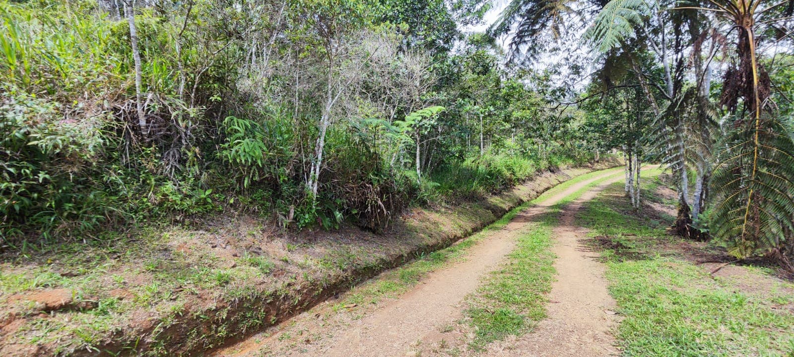 Lote/Casalote en venta en Dapa, Yumbo, ID ED1758