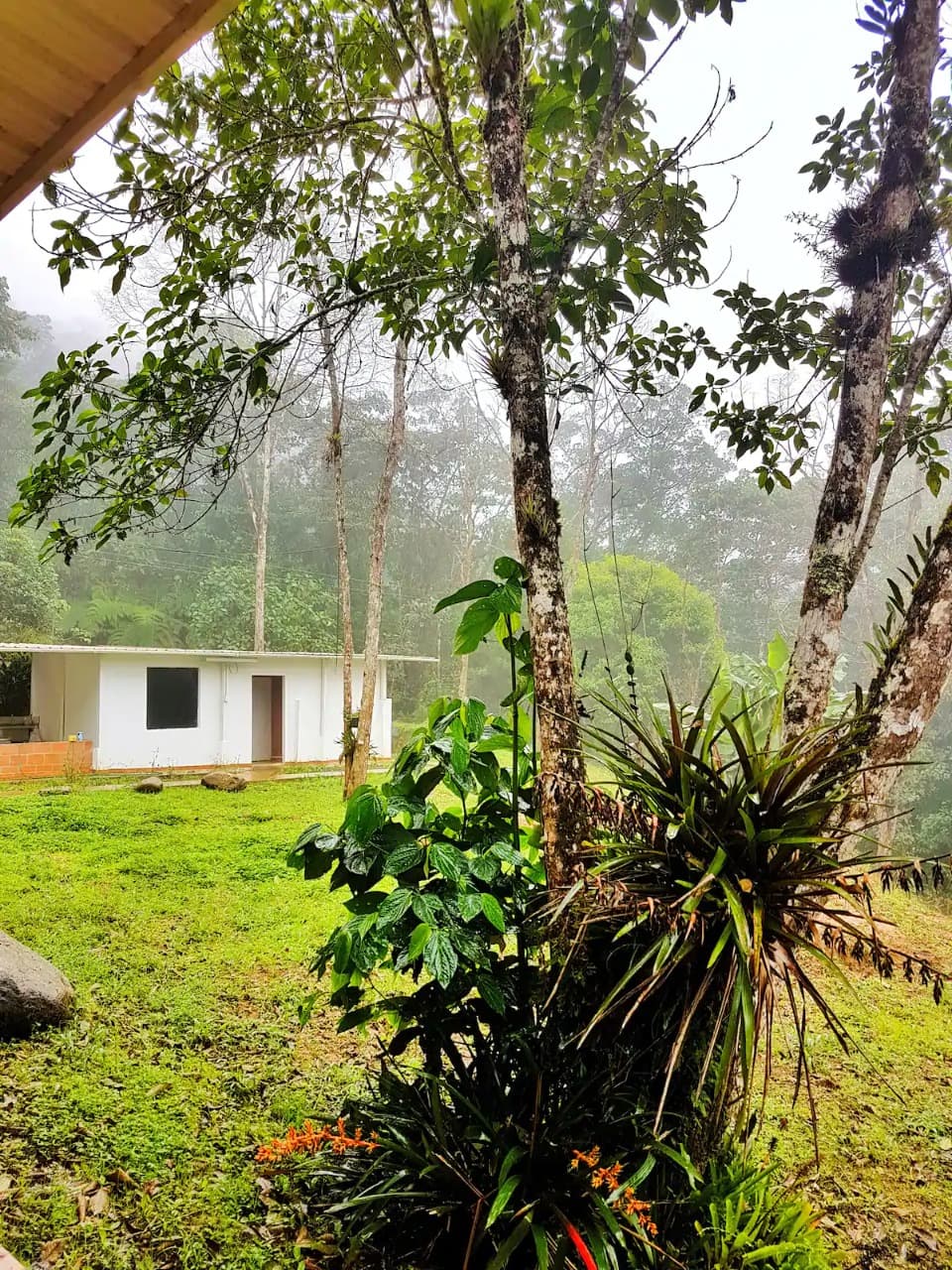 Casa Campestre en venta en Dapa, Yumbo, ID YN3863